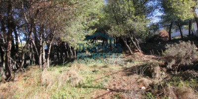 ΔΥΤΙΚΟ ΟΙΚΟΠΕΔΟ 1.000τ.μ. ΜΕ ΕΥΚΟΛΗ ΠΡΟΣΒΑΣΗ ΚΑΙ ΣΔ 0.6 ΠΛΗΣΙΟΝ ΤΗΣ Κ.ΠΑΛΑΙΟΛΟΓΟΥ ΣΤΗΝ ΠΟΛΙΤΕΙΑ